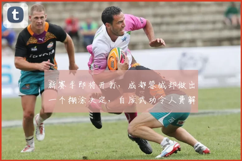 新赛季即将开打，成都蓉城却做出一个糊涂决定，自废武功令人费解_元敏诚_防守_中超