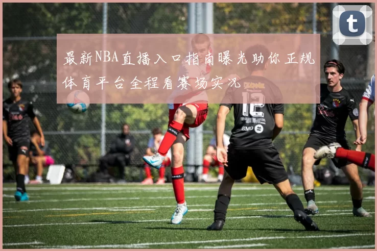 最新NBA直播入口指南曝光助你正规体育平台全程看赛场实况