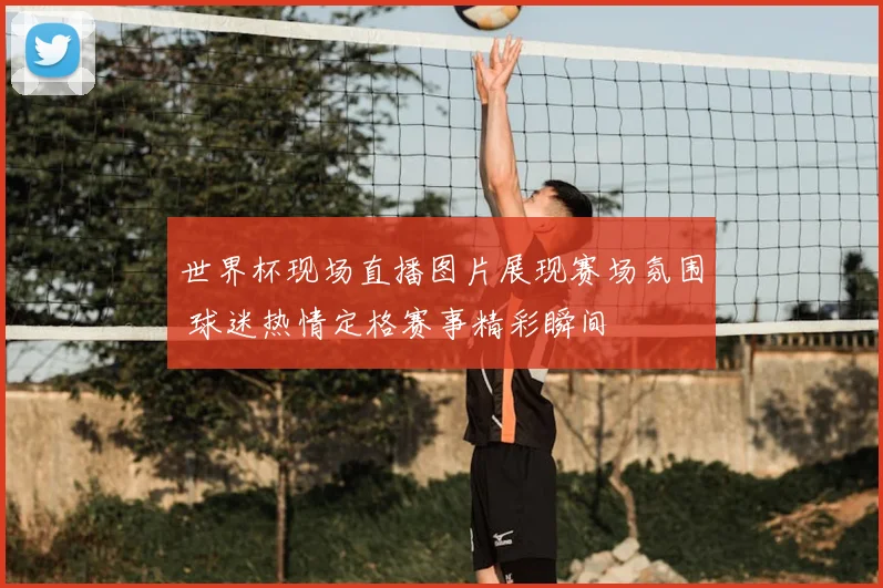 世界杯现场直播图片展现赛场氛围 球迷热情定格赛事精彩瞬间