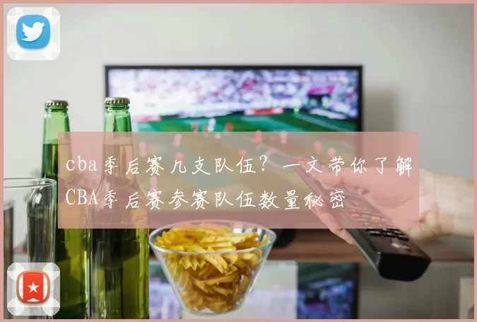 cba季后赛几支队伍？一文带你了解CBA季后赛参赛队伍数量秘密