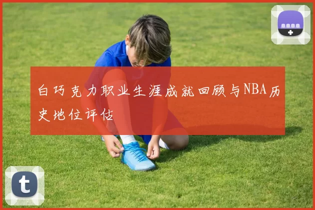 白巧克力职业生涯成就回顾与NBA历史地位评估