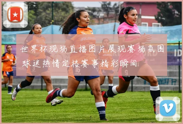 世界杯现场直播图片展现赛场氛围 球迷热情定格赛事精彩瞬间