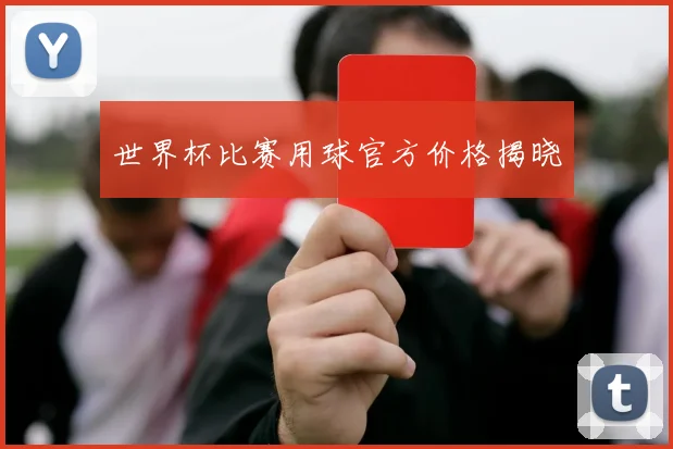 世界杯比赛用球官方价格揭晓