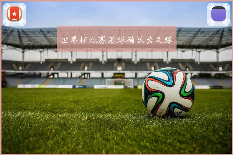 世界杯比赛用球确认为足球